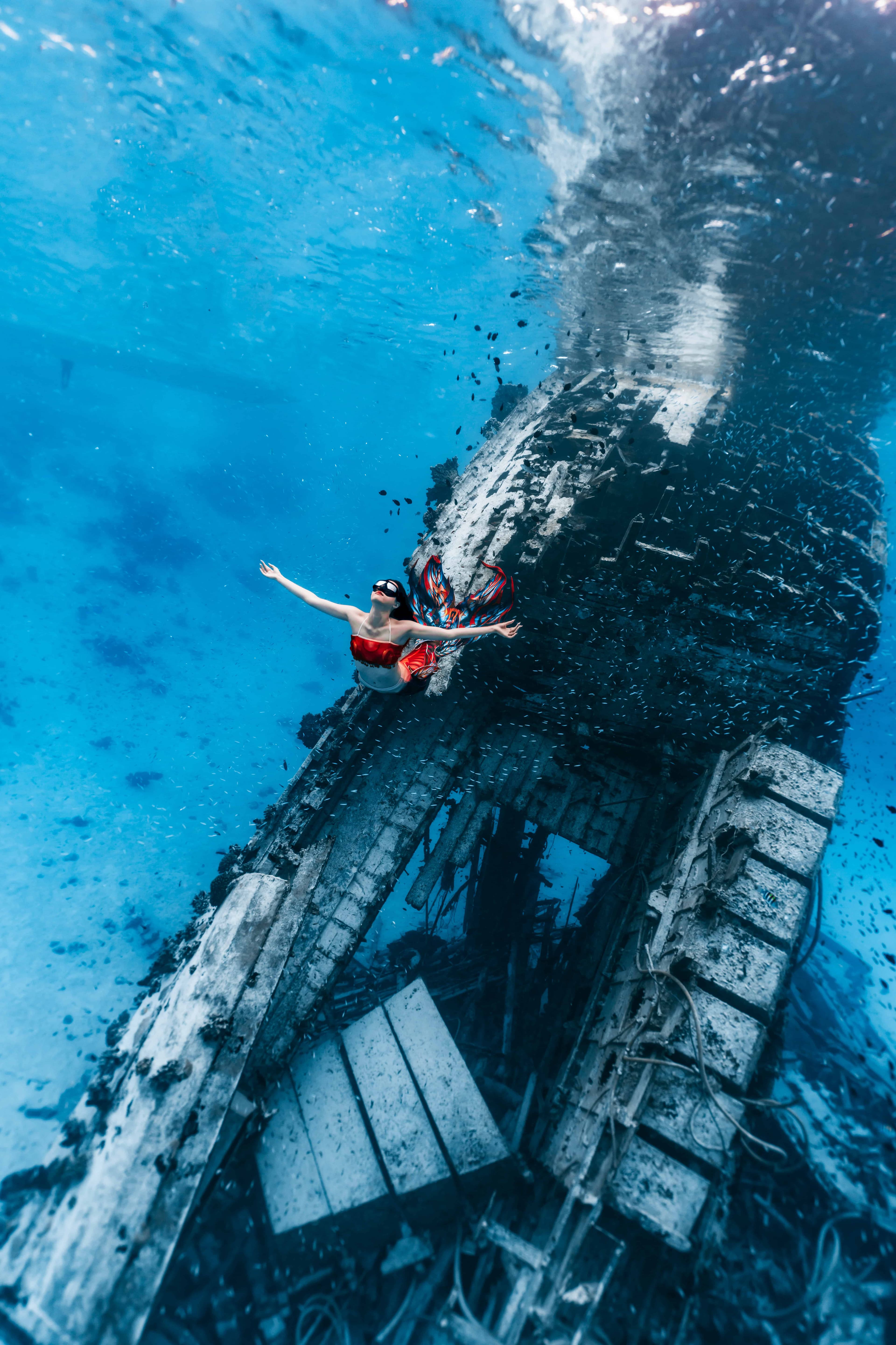 mermaid program picture