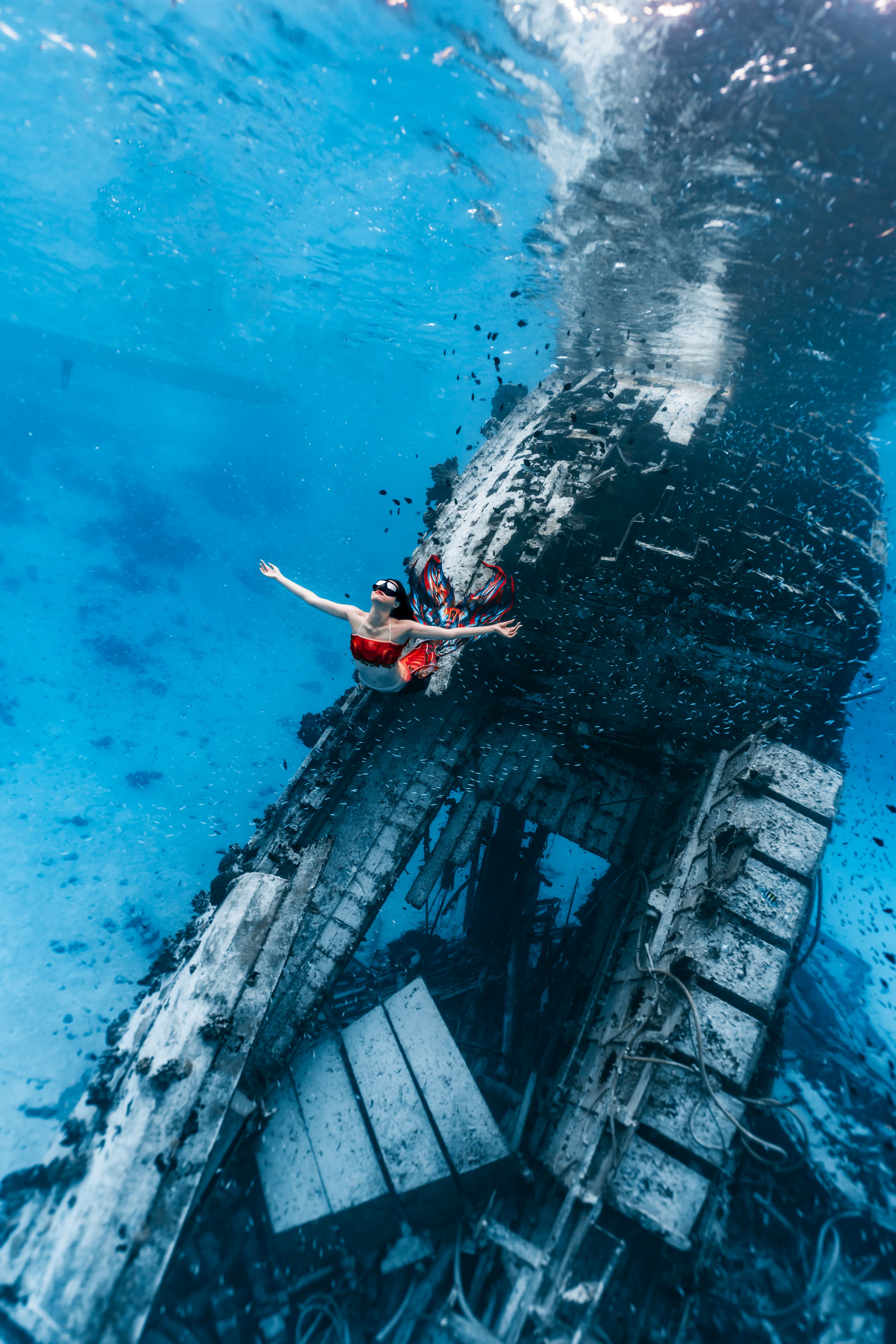 mermaid program picture